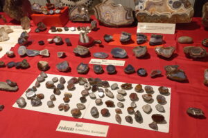 Skarby ziemi dostępne dla każdego - Radio Kielce Skarby ziemi dostępne dla każdego - Radio Kielce