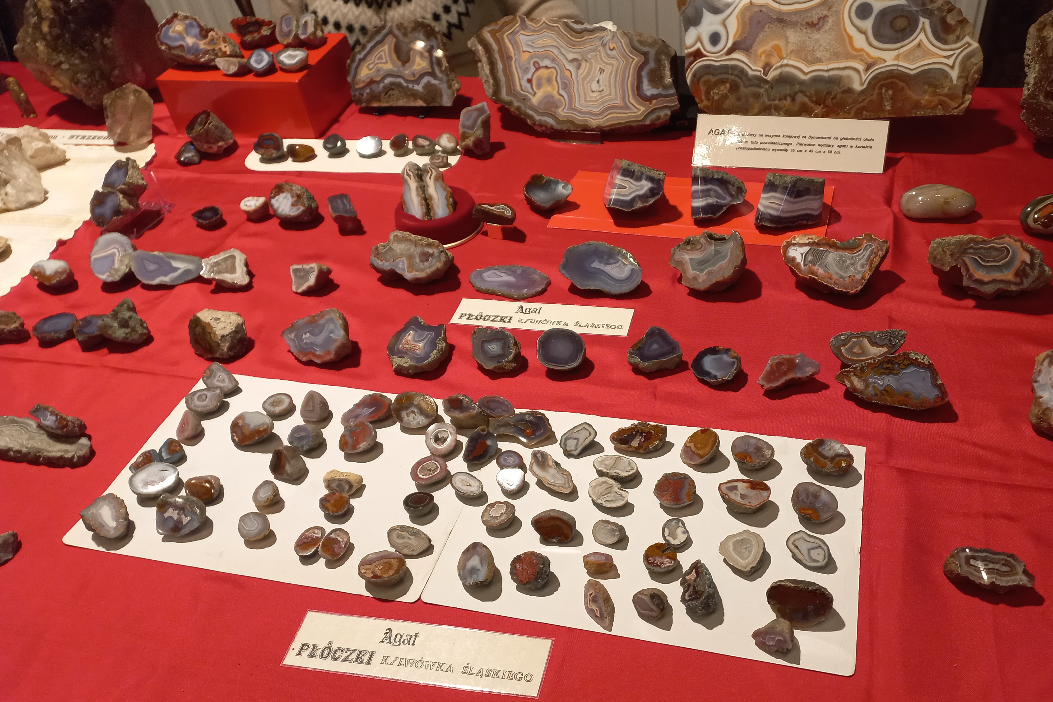 Skarby ziemi dostępne dla wszystkich