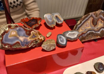 Skarby ziemi dostępne dla każdego