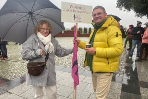 Święto Młodego Wina przyciągnęło turystów do Sandomierza - Radio Kielce 15.11.2025. Sandomierz. Święto Młodego Wina / Fot. Grażyna Szlęzak-Wójcik - Radio Kielce