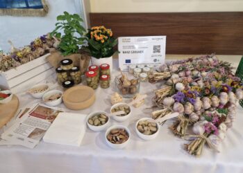 Świętokrzyski Ośrodek Doradztwa Rolniczego w Modliszewicach od kilku lat realizuje innowacyjne projekty dla rolnictwa / Fot. Marzena Smoręda