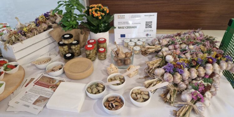 Przyszłość świętokrzyskiego rolnictwa to innowacje - Radio Kielce Świętokrzyski Ośrodek Doradztwa Rolniczego w Modliszewicach od kilku lat realizuje innowacyjne projekty dla rolnictwa / Fot. Marzena Smoręda