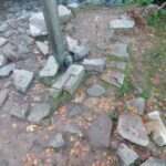 źródło: Mariusz Meus