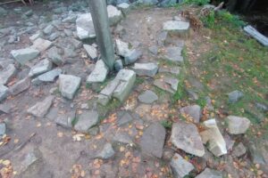 źródło: Mariusz Meus