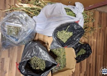 Fot. KPP w Busku-Zdroju