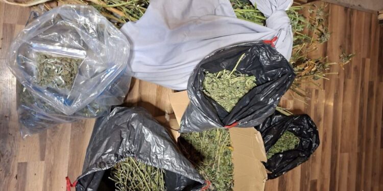 Fot. KPP w Busku-Zdroju