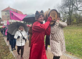 Święto Młodego Wina przyciągnęło turystów do Sandomierza - Radio Kielce 15.11.2025. Sandomierz. Święto Młodego Wina / Fot. Grażyna Szlęzak-Wójcik - Radio Kielce