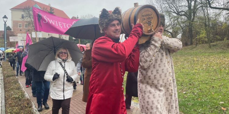 Święto Młodego Wina przyciągnęło turystów do Sandomierza - Radio Kielce 15.11.2025. Sandomierz. Święto Młodego Wina / Fot. Grażyna Szlęzak-Wójcik - Radio Kielce