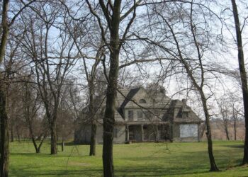 Syn właściciela był każącą ręką sprawiedliwości