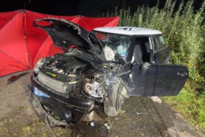 02.11.2025. Celiny w gminie Bodzentyn. Wypadek / Fot. OSP Bodzentyn