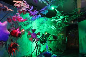 Bajkowa rewolucja w Pacanowie już trwa - Radio Kielce 28.11.2025. Europejskie Centrum Bajki w Pacanowie. Prace modernizacyjne / Fot. Marta Gajda-Kruk - Radio Kielce