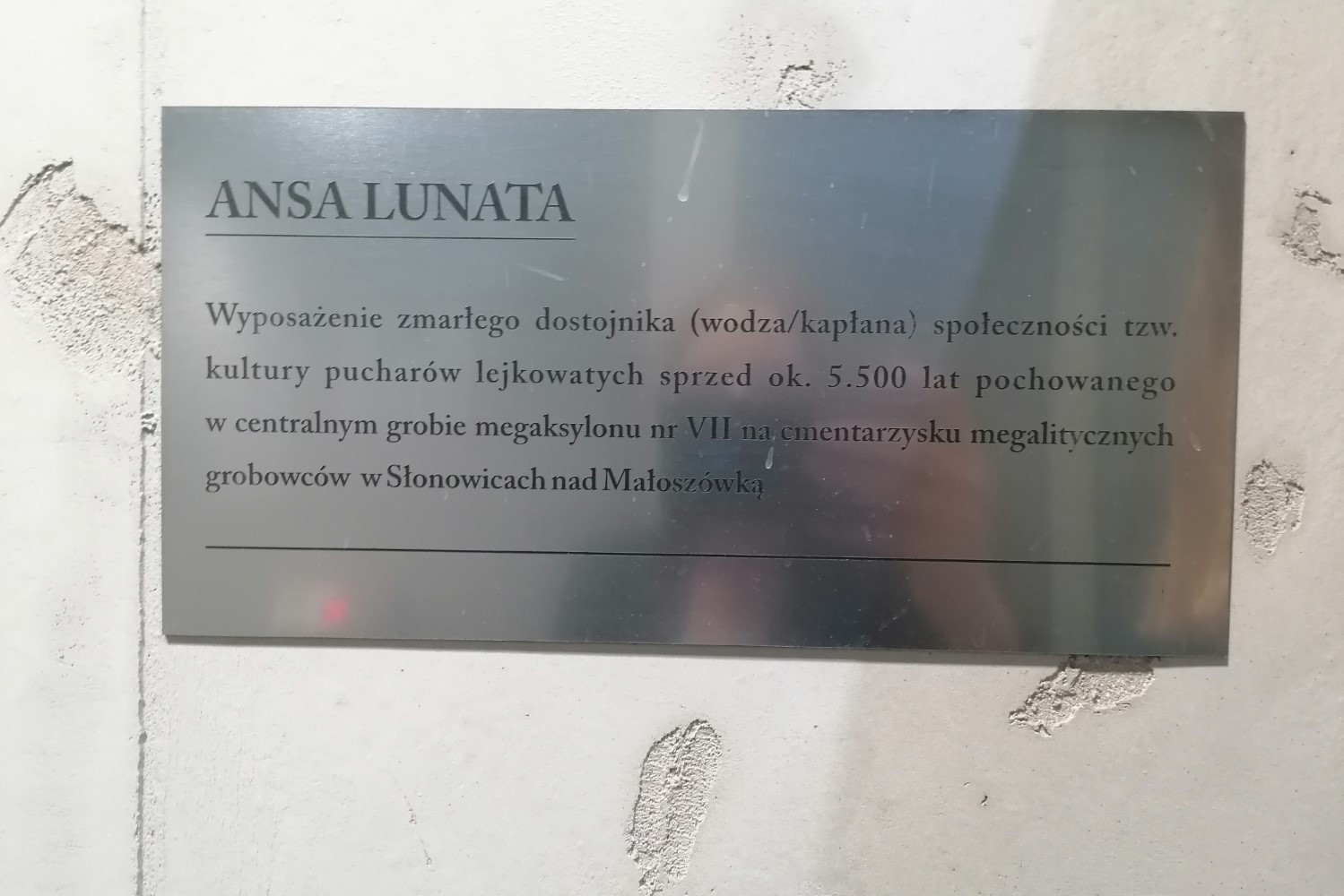 „Ansa lunata” symbolem nowej pijalni w Kazimierzy Wielkiej