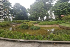 Muzyczne podróże. Chiny i Sigapur / Fot. Piotr Parzymies