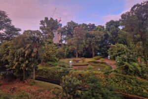 Muzyczne podróże. Chiny i Sigapur / Fot. Piotr Parzymies