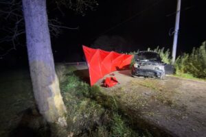 02.11.2025. Celiny w gminie Bodzentyn. Wypadek / Fot. OSP Bodzentyn