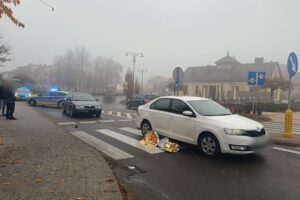 10.11.2025. Połaniec. Potrącenie rowerzystki na pasach / Fot. KPP Staszów