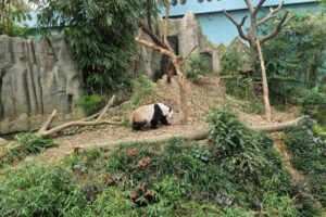 Muzyczne podróże. Chiny i Sigapur / Fot. Piotr Parzymies