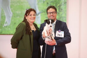 30.11.2025. Kielce. Międzynarodowa Wystawa Psów Rasowych / Fot. Wiktor Taszłow - Radio Kielce