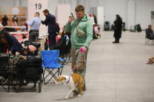 30.11.2025. Kielce. Międzynarodowa Wystawa Psów Rasowych / Fot. Wiktor Taszłow - Radio Kielce