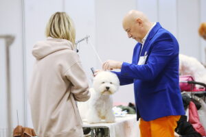 30.11.2025. Kielce. Międzynarodowa Wystawa Psów Rasowych / Fot. Wiktor Taszłow - Radio Kielce