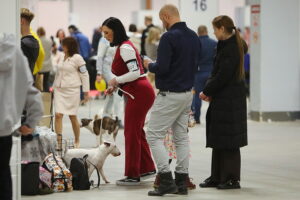 30.11.2025. Kielce. Międzynarodowa Wystawa Psów Rasowych / Fot. Wiktor Taszłow - Radio Kielce