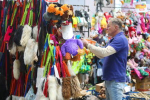 30.11.2025. Kielce. Międzynarodowa Wystawa Psów Rasowych / Fot. Wiktor Taszłow - Radio Kielce