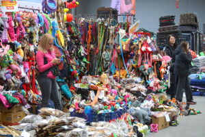 30.11.2025. Kielce. Międzynarodowa Wystawa Psów Rasowych / Fot. Wiktor Taszłow - Radio Kielce