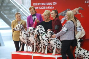 30.11.2025. Kielce. Międzynarodowa Wystawa Psów Rasowych / Fot. Wiktor Taszłow - Radio Kielce