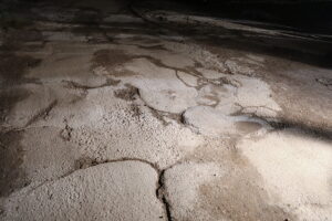 03.12.2025. Kielce. Program Interwencja / Fot. Wiktor Taszłow - Radio Kielce