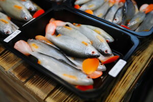 22.11.2025. Targi Kielce. III Festiwal Wędkarstwa i Survivalu / Fot. Wiktor Taszłow - Radio Kielce