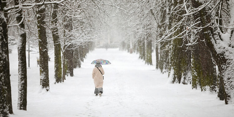Atak zimy w regionie. Piękne widoki, ale warunki na drogach trudne - Radio Kielce Atak zimy w regionie. Piękne widoki, ale warunki na drogach trudne