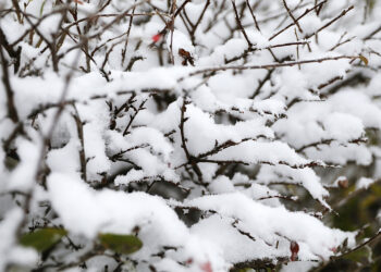 23.11.2025. Kielce. Zima / Fot. Wiktor Taszłow - Radio Kielce