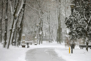 23.11.2025. Kielce. Zima / Fot. Wiktor Taszłow - Radio Kielce