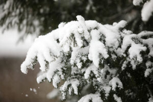 23.11.2025. Kielce. Zima / Fot. Wiktor Taszłow - Radio Kielce