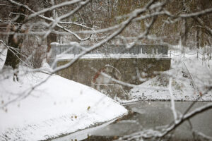 23.11.2025. Kielce. Zima / Fot. Wiktor Taszłow - Radio Kielce