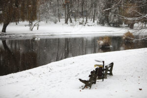 23.11.2025. Kielce. Zima / Fot. Wiktor Taszłow - Radio Kielce