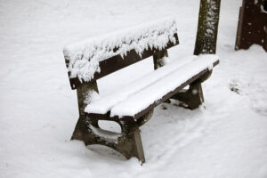 23.11.2025. Kielce. Zima / Fot. Wiktor Taszłow - Radio Kielce