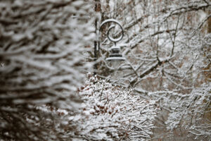 23.11.2025. Kielce. Zima / Fot. Wiktor Taszłow - Radio Kielce