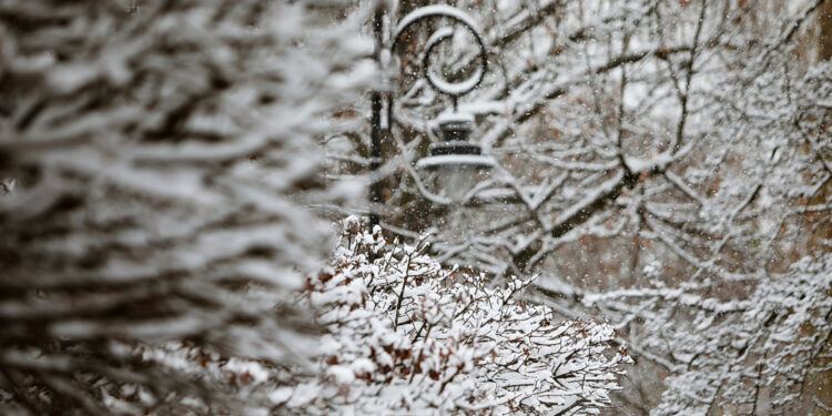 Gdy styczeń jasny i biały, będą w lato upały - Radio Kielce 23.11.2025. Kielce. Zima / Fot. Wiktor Taszłow - Radio Kielce