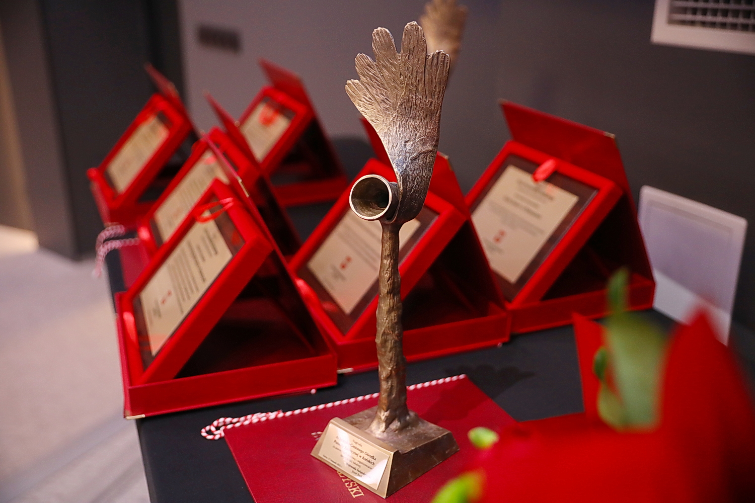 Empatia to część ich pracy. Zostali za nią wyróżnieni