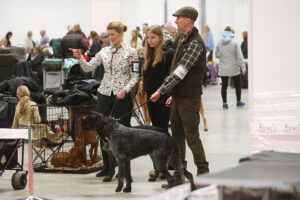 29.11.2025. Kielce. Międzynarodowa Wystawa Psów Rasowych / Fot. Wiktor Taszłow - Radio Kielce