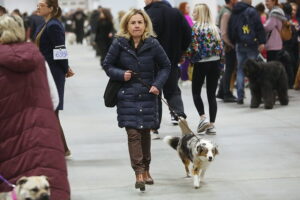 29.11.2025. Kielce. Międzynarodowa Wystawa Psów Rasowych / Fot. Wiktor Taszłow - Radio Kielce