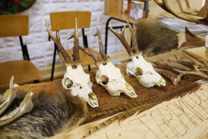 29.11.2025. Zagnańsk. IV Świętokrzyski Konkurs Sygnalistyki Myśliwskiej „Echo Dębu Bartka” / Fot. Wiktor Taszłow - Radio Kielce