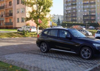 Skarżysko-Kamienna. Oprysk na dziki / Fot. UM Skarżysko