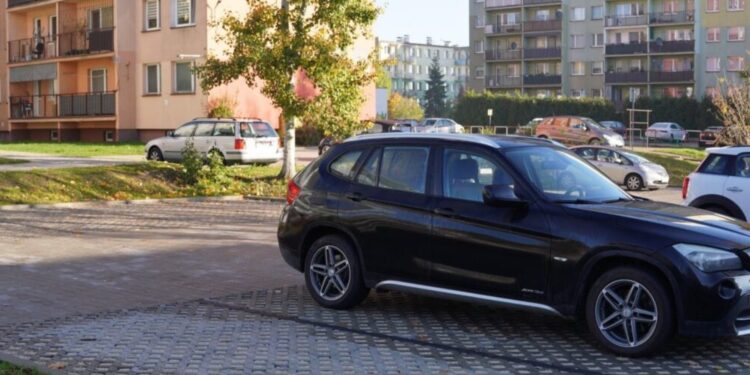 Skarżysko-Kamienna. Oprysk na dziki / Fot. UM Skarżysko