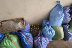 18.11.2025. Brody. Zabezpieczone materiały dowodowe / źródło: KPP w Starachowicach