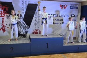 Turniej Karate Kyokushin dla Dzieci i Młodzieży WRATISLAVIA CUP 2025 / Fot. Klub Karate Morawica KKM/ Facebook