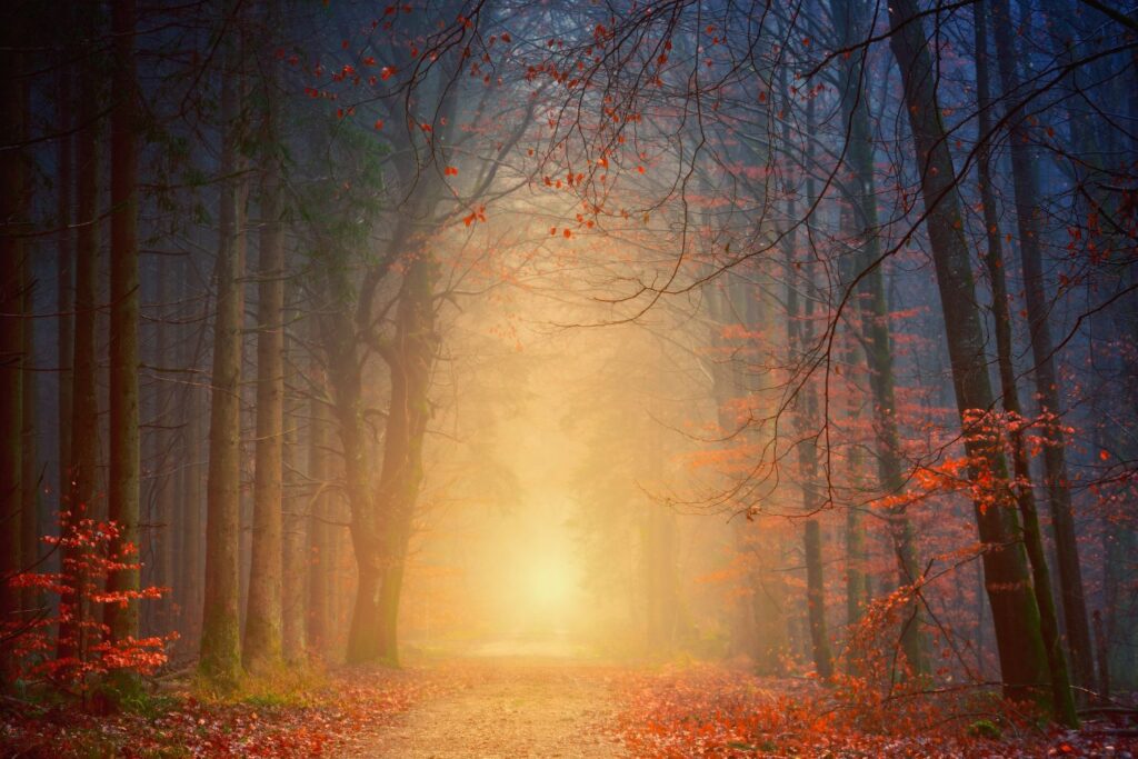 Odkrywamy miejsce, gdzie złapano szpiega