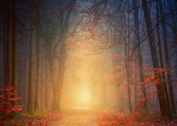 Odkrywamy miejsce, gdzie złapano szpiega - Radio Kielce Odkrywamy miejsce, gdzie złapano szpiega