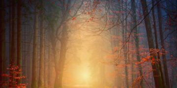 Odkrywamy miejsce, gdzie złapano szpiega